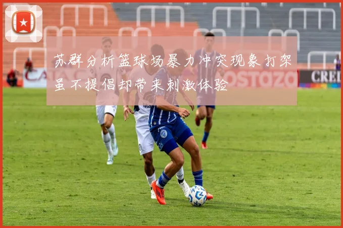 苏群分析篮球场暴力冲突现象打架虽不提倡却带来刺激体验