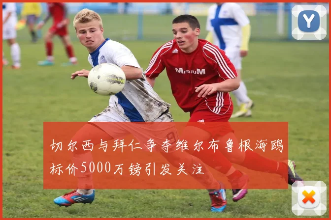 切尔西与拜仁争夺维尔布鲁根海鸥标价5000万镑引发关注