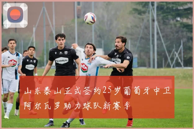 山东泰山正式签约25岁葡萄牙中卫阿尔瓦罗助力球队新赛季