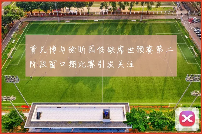 曾凡博与徐昕因伤缺席世预赛第二阶段窗口期比赛引发关注